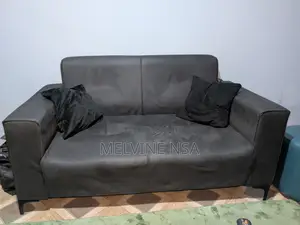 2 in One Sofa