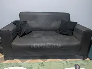 2 in One Sofa
