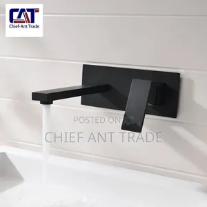 Concealed Faucet Taps 2203 Black