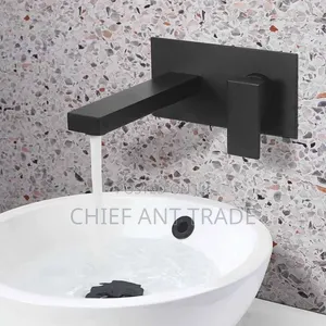 Concealed Faucet Taps 2203 Black