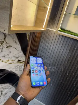 Apple iPhone 12 Pro Max 256 GB