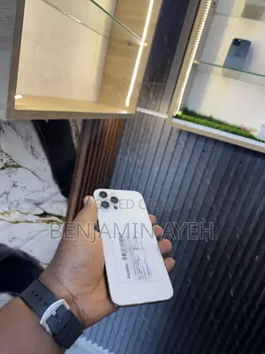 Apple iPhone 12 Pro Max 256 GB