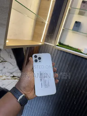 Apple iPhone 12 Pro Max 256 GB