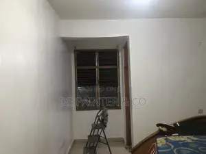 Professional Painting_ Very Affordable Reliable Services