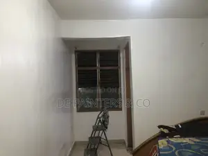 Professional Painting_ Very Affordable Reliable Services