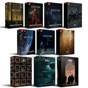 All-in-One Creator Bundle NEW – Paramount Motion