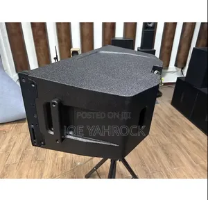12 Inches Neodymium Line Array Pair Speaker