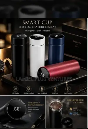 Temperature Vacuum Flask