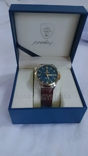 POEDAGAR Men’s Watch – Luxury Leather Strap Watch