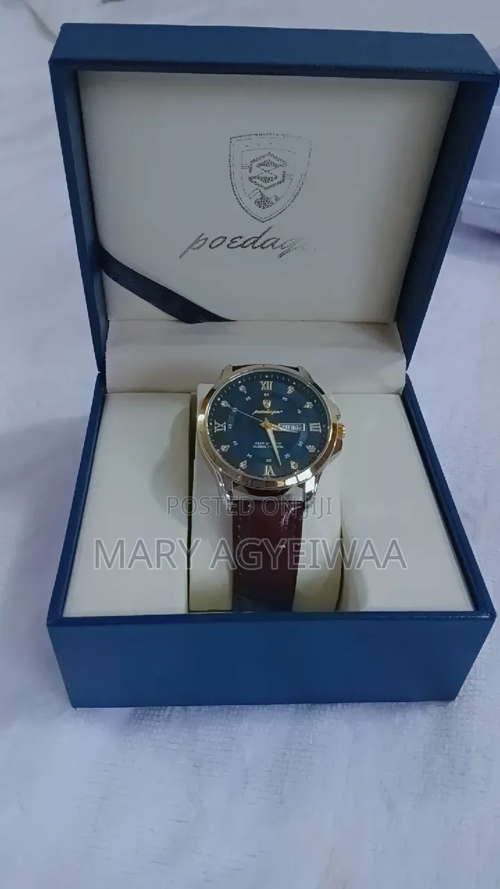 POEDAGAR Men’s Watch – Luxury Leather Strap Watch