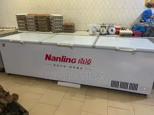 Deep Freezer 1600liters