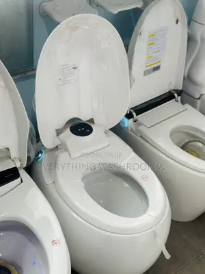 Smart Water Closet (Intelligent WC)