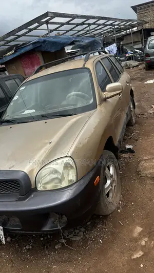 Hyundai Santa Fe 3.5 2003 Gold