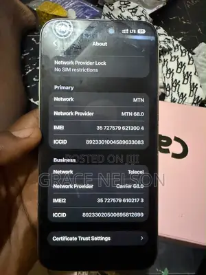 Apple iPhone 15 Pro Max 256 GB Gray