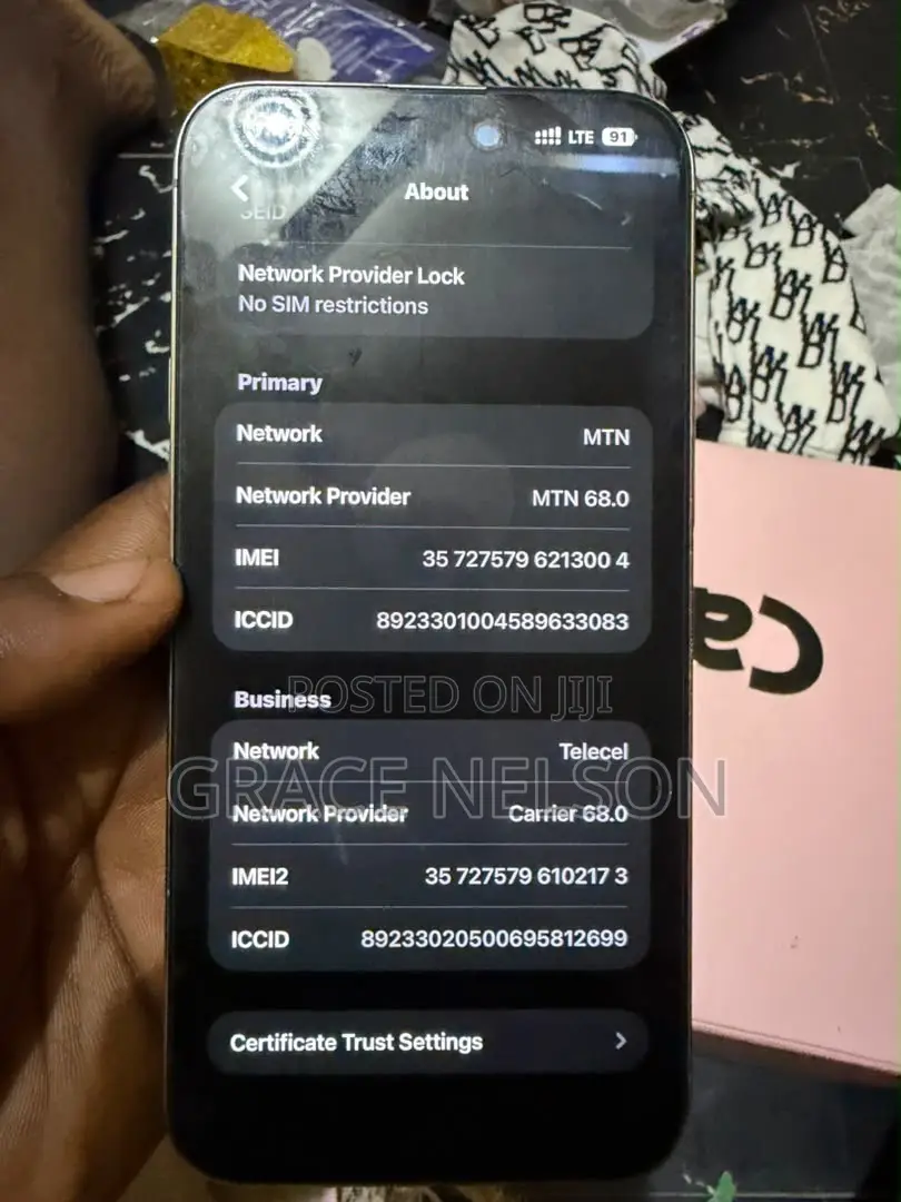 Apple iPhone 15 Pro Max 256 GB Gray