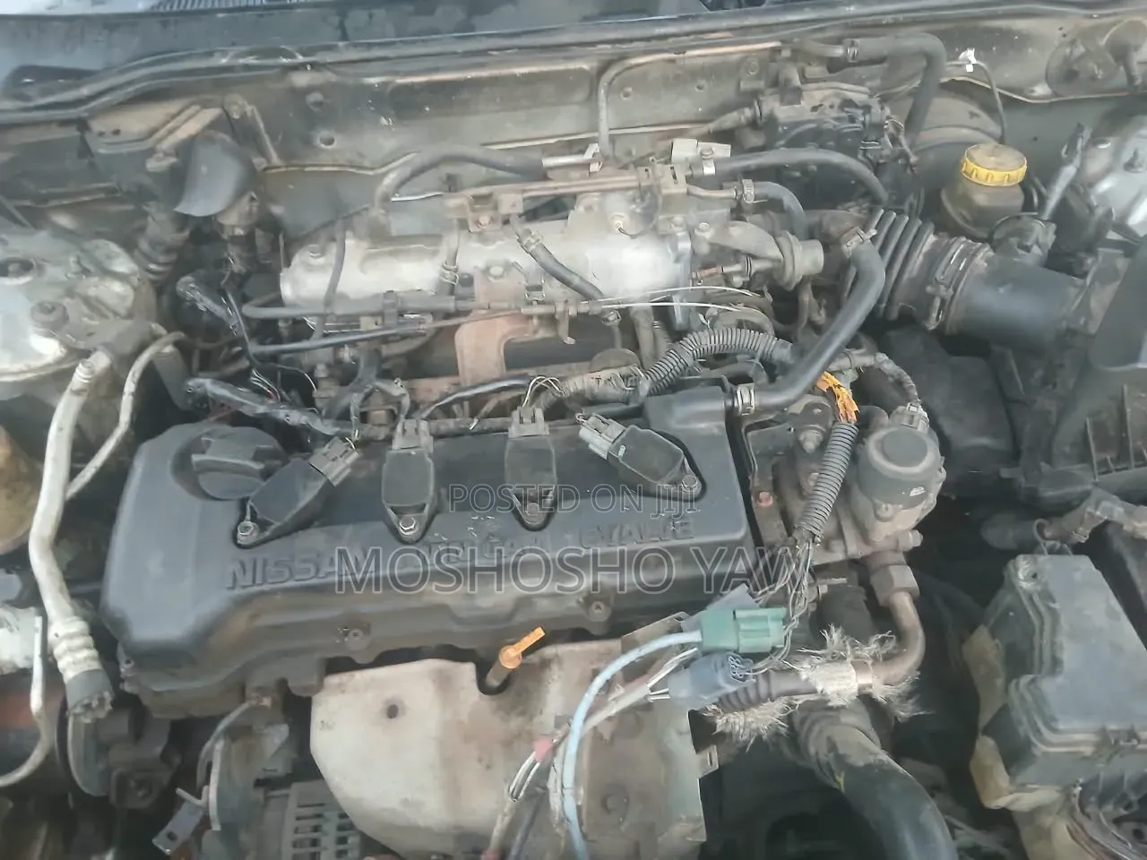 Nissan Sentra 2008 Silver