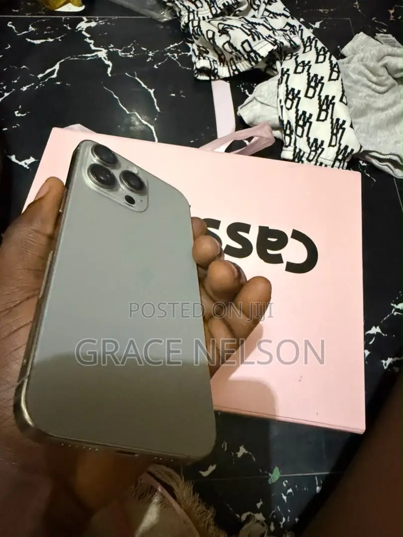 Apple iPhone 15 Pro Max 256 GB Gray