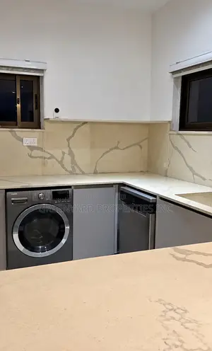 Furnished 1bdrm Penthouse in Osu for rent