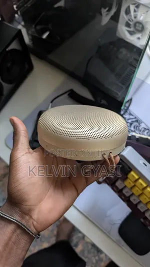 Bang Olufsen Beosound A1 2n Gen