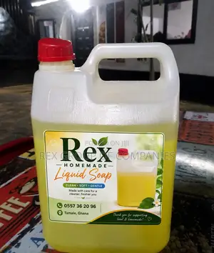 Rex Homemade Liquid Soup