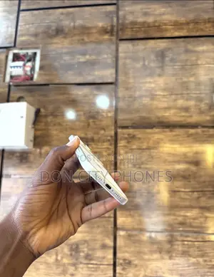 Apple iPhone 17 Pro Max 256 GB Silver