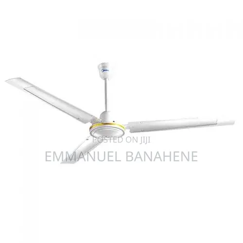 Ceiling Fans