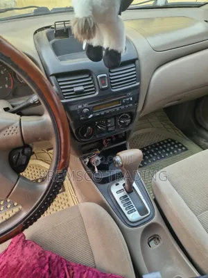 Nissan Sentra 1.8 S 2004 Gray