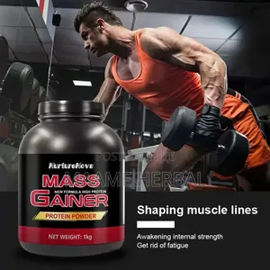 Whey Protein Powder (Mass Gainer)