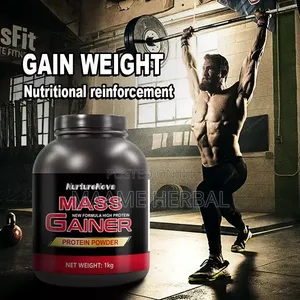 Whey Protein Powder (Mass Gainer)