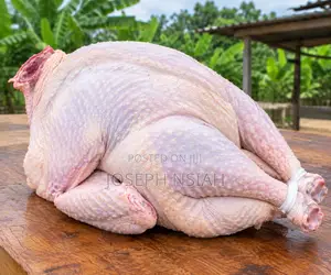 Fresh Organic Turkey Meat Dressed