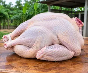 Fresh Organic Turkey Meat Dressed