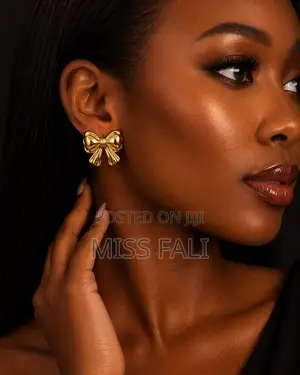 Classy Stainless Steel Studs
