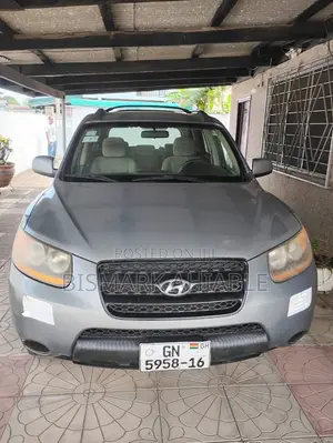 Hyundai Santa Fe 2008 Gray