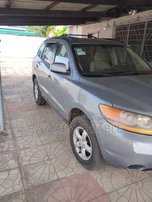 Hyundai Santa Fe 2008 Gray