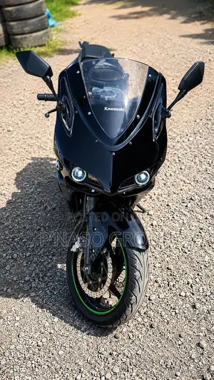 Kawasaki Ninja 300 2014 Black