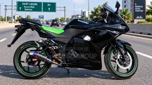 Kawasaki Ninja 300 2014 Black