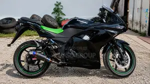 Kawasaki Ninja 300 2014 Black
