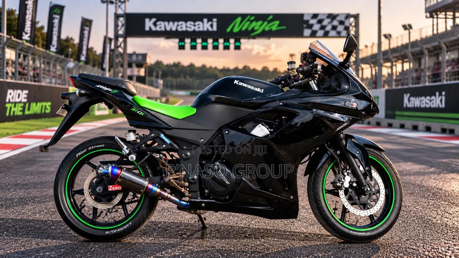 Kawasaki Ninja 300 2014 Black