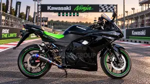 Kawasaki Ninja 300 2014 Black