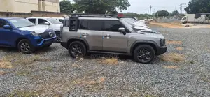 New Jetour T2 2.0 Petrol AWD 2024 Gray