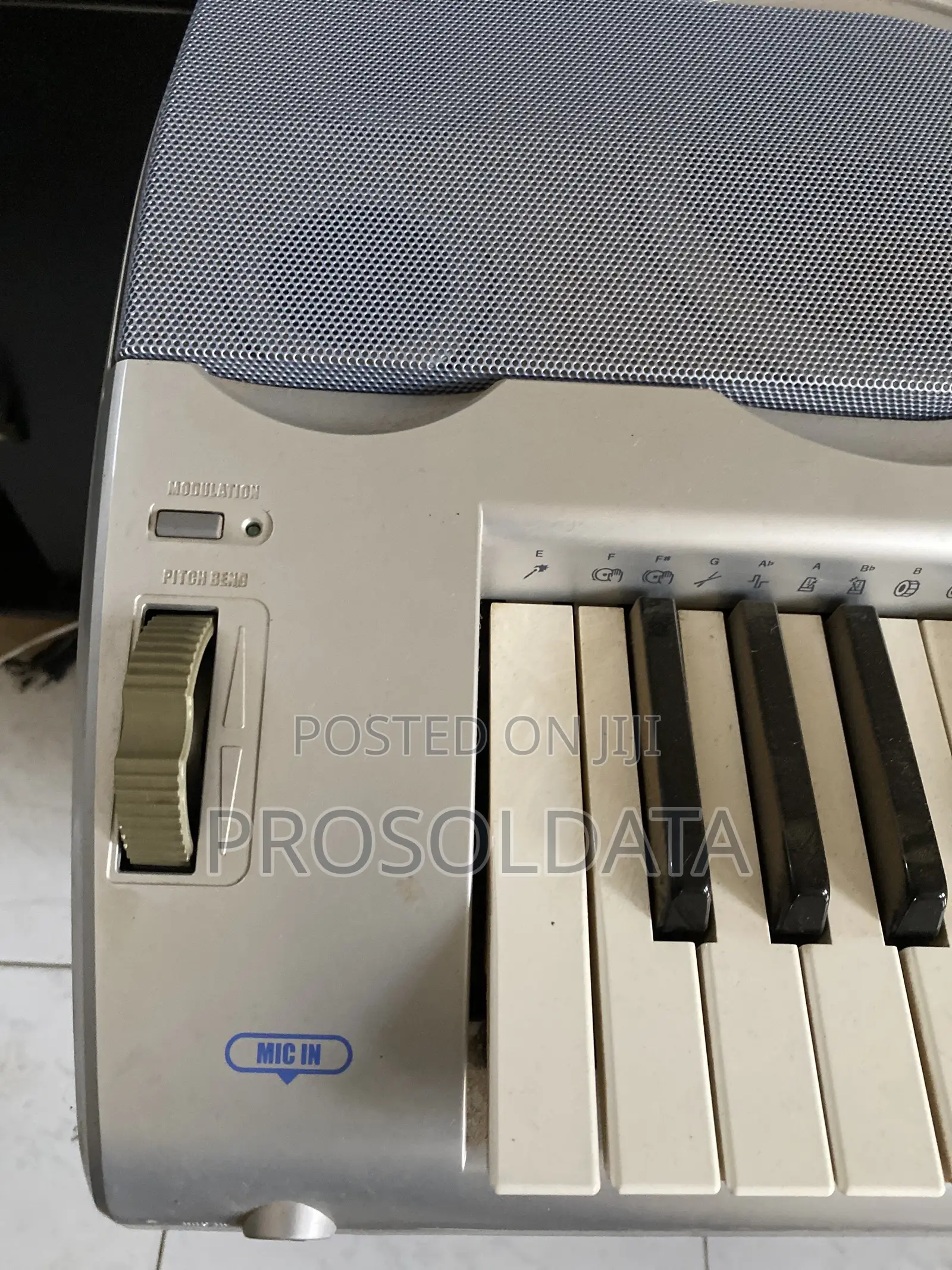 Large Casio Piano