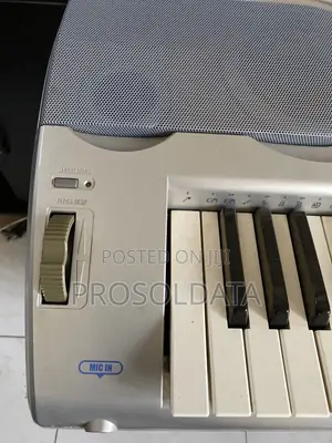 Large Casio Piano