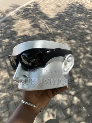 Polarised Sunglasses