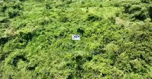Acres of Land
200x140