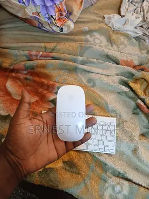 Apple Keyboard and Mouse