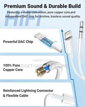 Lightning to Aux (3.5mm) Cable