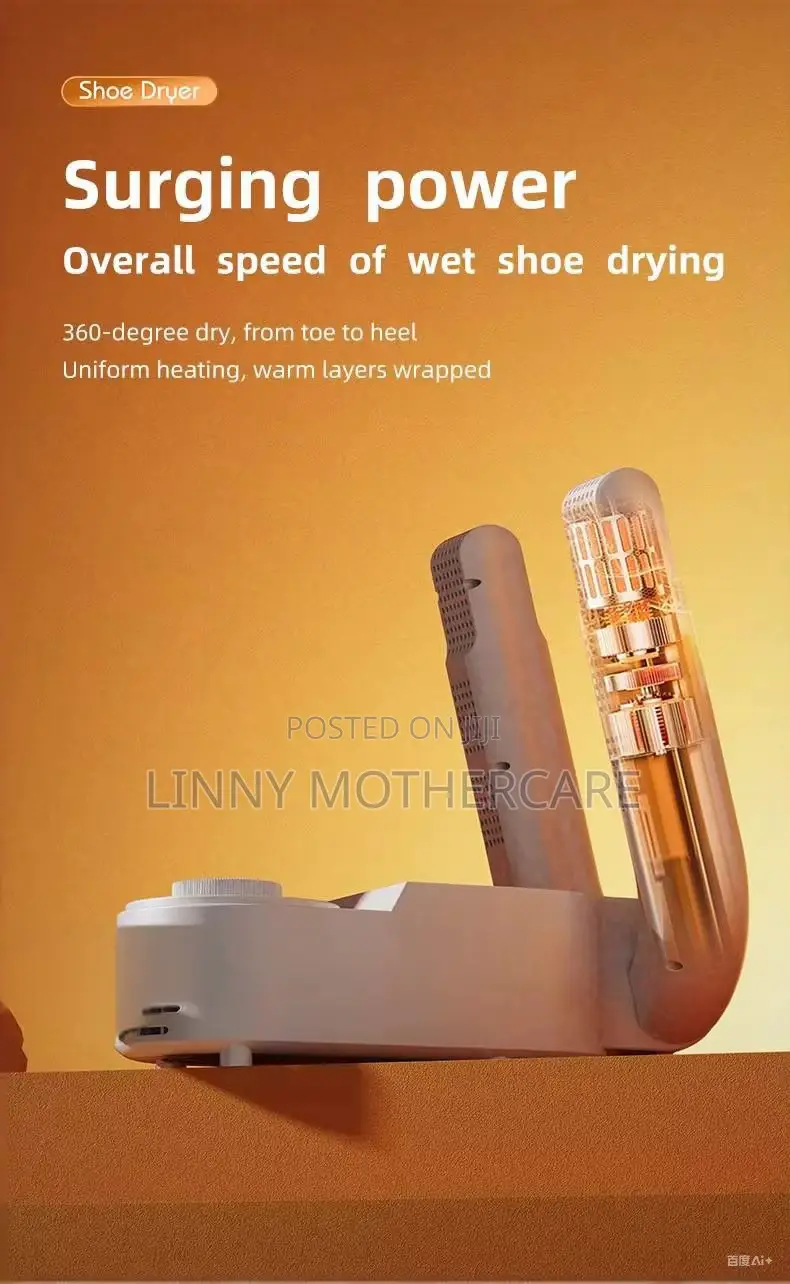 Smart Shoe Dryer