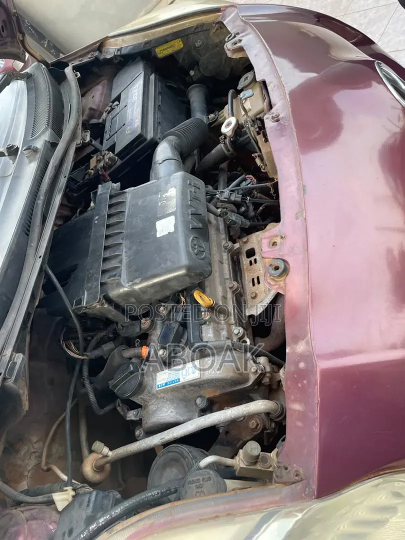 Toyota Vitz 2010 Brown