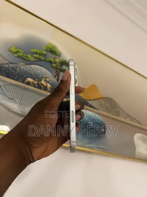 Apple iPhone 17 Pro 256 GB Silver