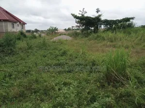Plot of Land for Sale at Trede Mpatasie